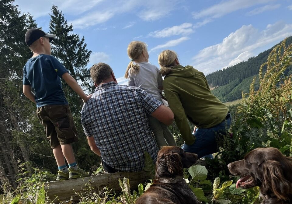 D233EEB4 4591 4219 BC2E 2F3B6F0CC025 e1749806774785